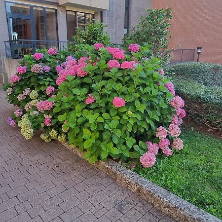 La Casetta Di Grazia E Nino Buccinasco Exterior foto